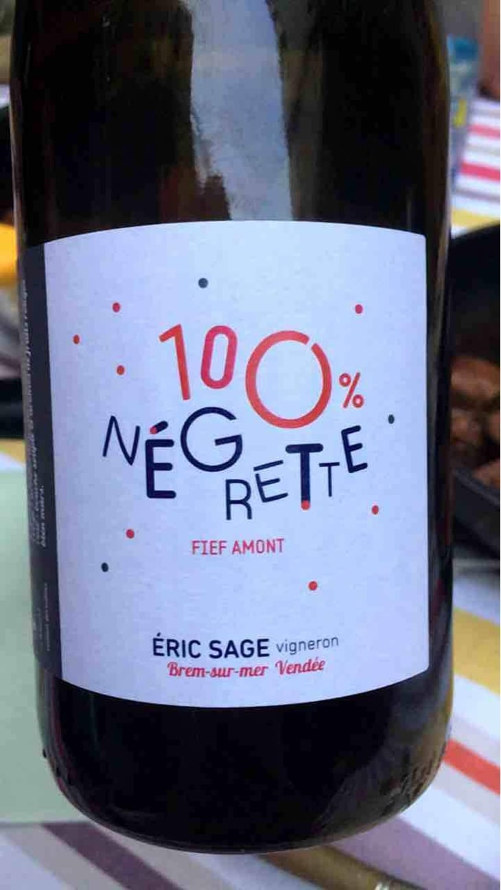 100% Négrette - Domaine Éric Sage - Éric Sage 