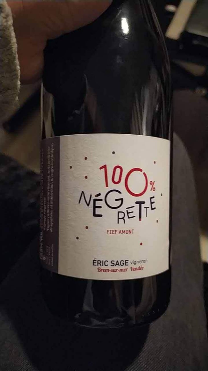 100% Négrette - Domaine Éric Sage - Éric Sage 