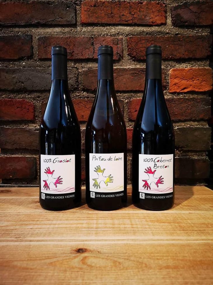 100% Cabernet Breton - Les Grandes Vignes - Laurence, Dominique & Jean-François Vaillant 