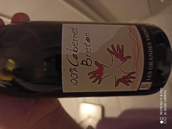 100% Cabernet Breton - Les Grandes Vignes - Laurence, Dominique & Jean-François Vaillant 