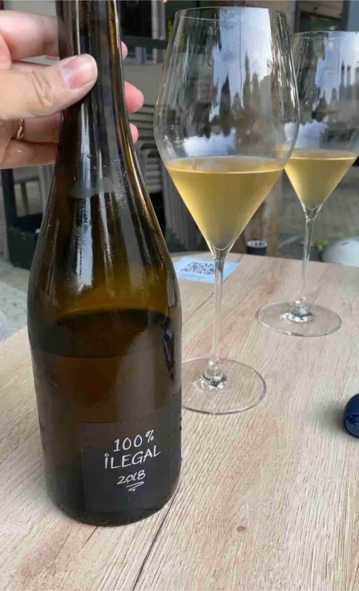 100% Ilegal - MicroBioWines - Ismael Gozalo 
