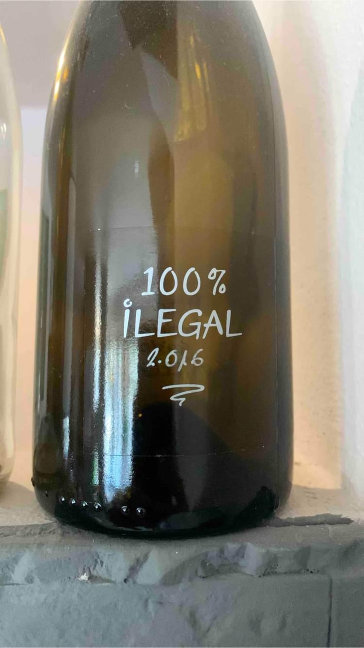 100% Ilegal - MicroBioWines - Ismael Gozalo 