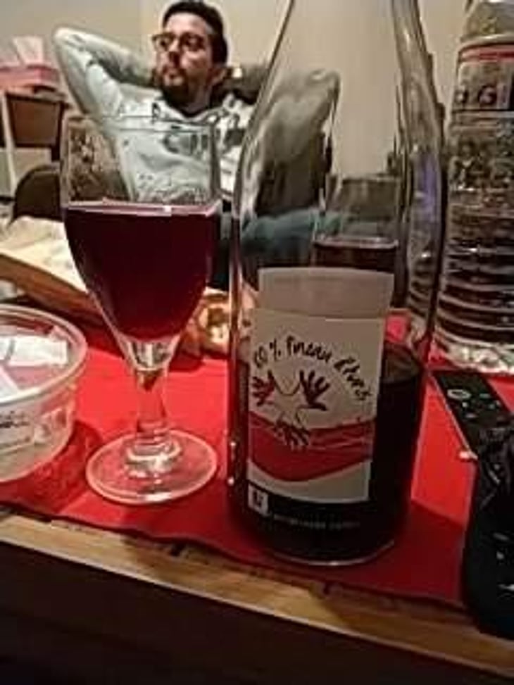 100% Pineau d'Aunis - Les Grandes Vignes - Laurence, Dominique & Jean-François Vaillant 