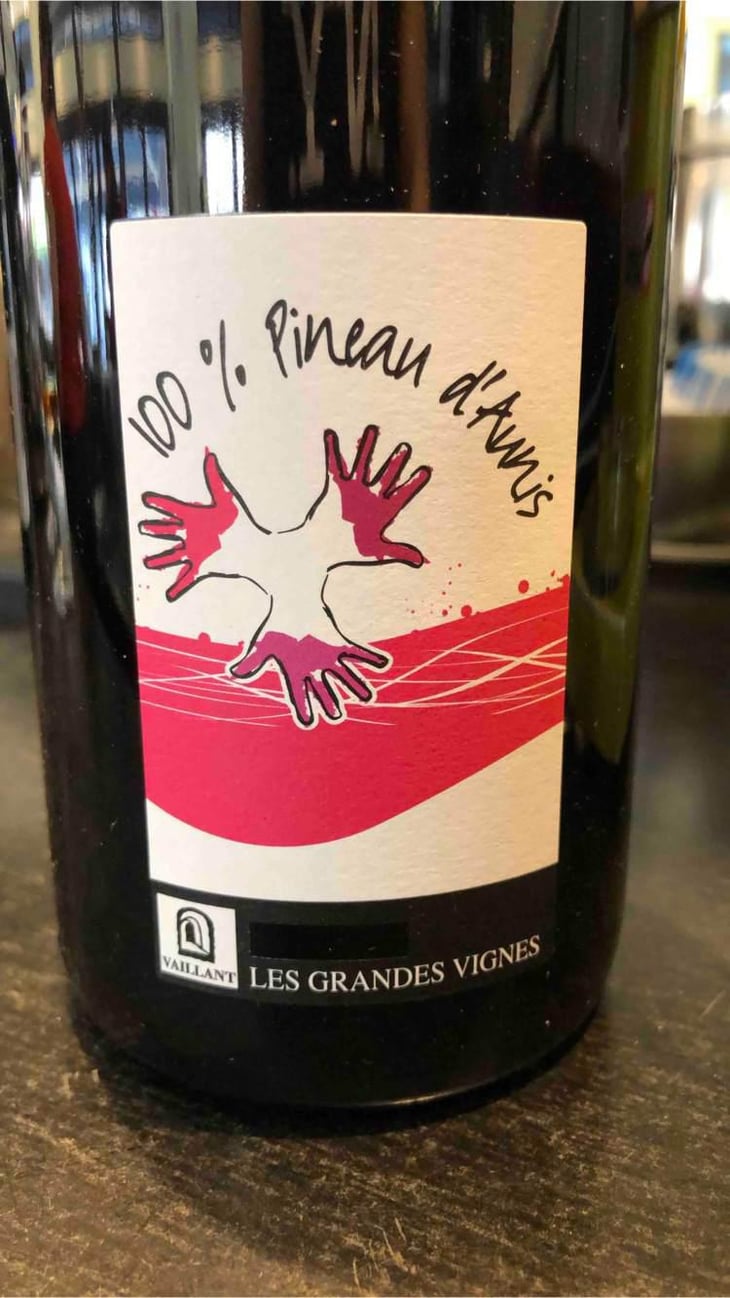 100% Pineau d'Aunis - Les Grandes Vignes - Laurence, Dominique & Jean-François Vaillant 