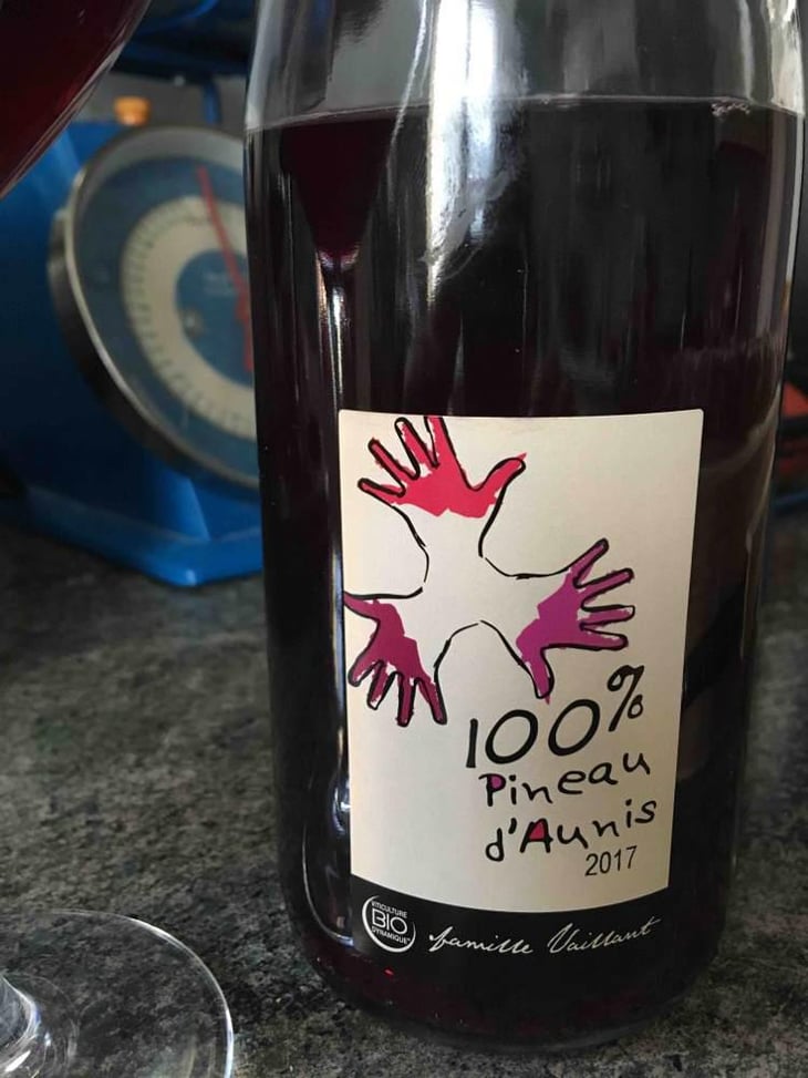 100% Pineau d'Aunis - Les Grandes Vignes - Laurence, Dominique & Jean-François Vaillant 