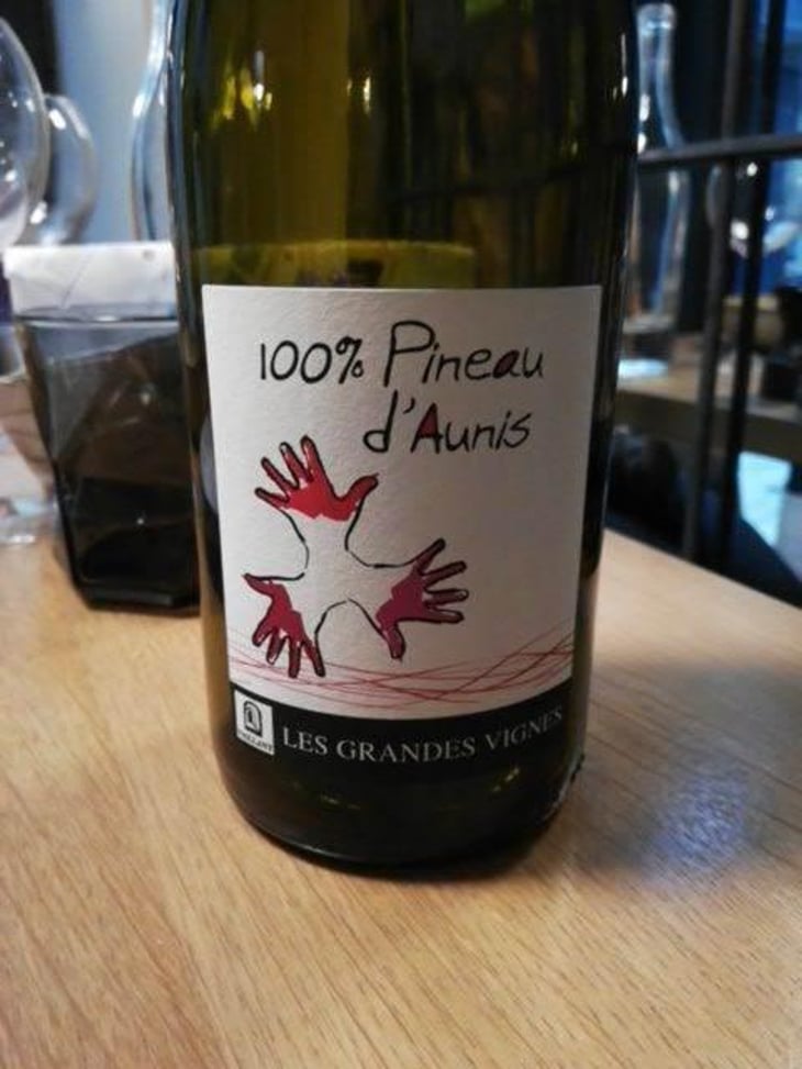 100% Pineau d'Aunis - Les Grandes Vignes - Laurence, Dominique & Jean-François Vaillant 