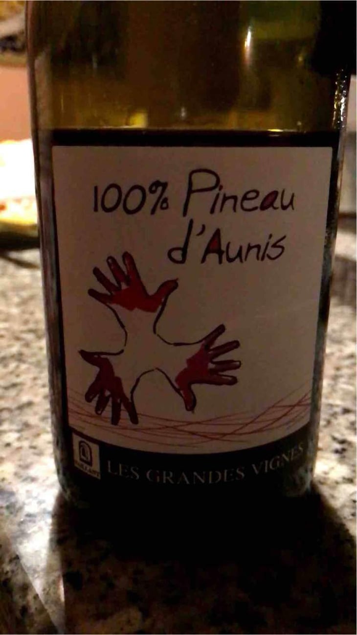 100% Pineau d'Aunis - Les Grandes Vignes - Laurence, Dominique & Jean-François Vaillant 