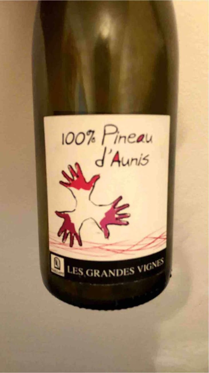 100% Pineau d'Aunis - Les Grandes Vignes - Laurence, Dominique & Jean-François Vaillant 