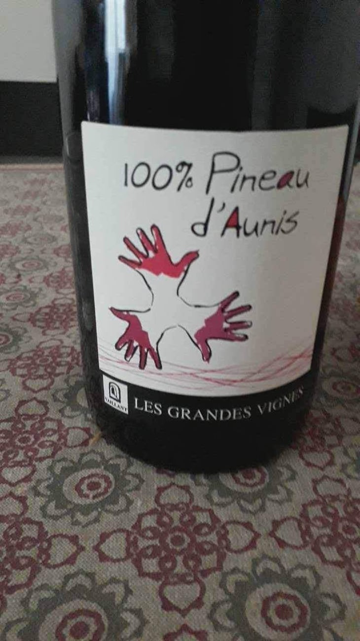 100% Pineau d'Aunis - Les Grandes Vignes - Laurence, Dominique & Jean-François Vaillant 