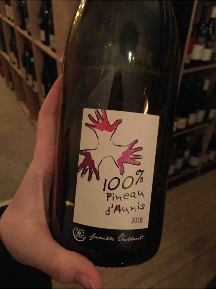 100% Pineau d'Aunis - Les Grandes Vignes - Laurence, Dominique & Jean-François Vaillant 