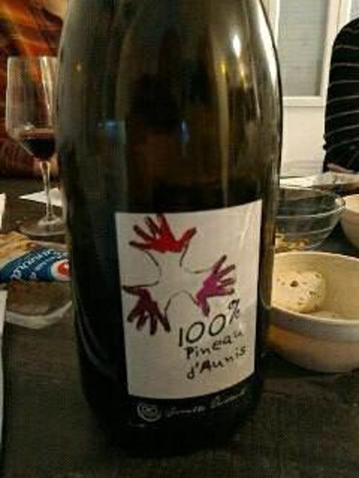 100% Pineau d'Aunis - Les Grandes Vignes - Laurence, Dominique & Jean-François Vaillant 