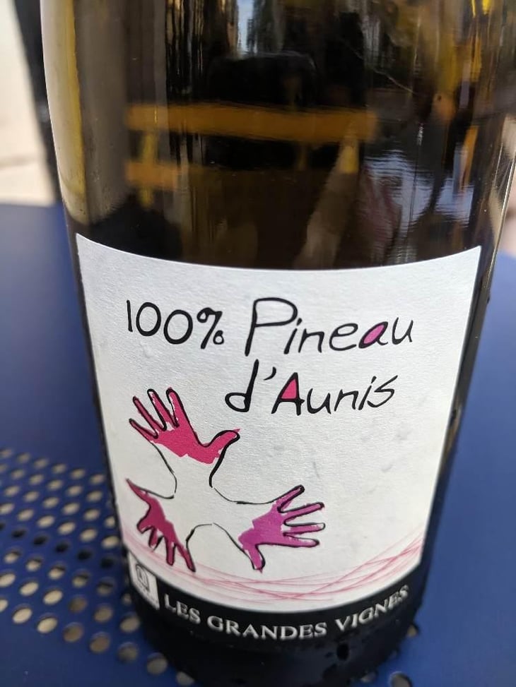 100% Pineau d'Aunis - Les Grandes Vignes - Laurence, Dominique & Jean-François Vaillant 