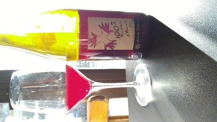 100% Pineau d'Aunis - Les Grandes Vignes - Laurence, Dominique & Jean-François Vaillant 