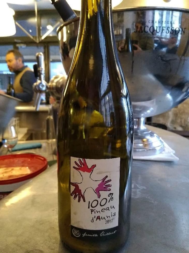 100% Pineau d'Aunis - Les Grandes Vignes - Laurence, Dominique & Jean-François Vaillant 