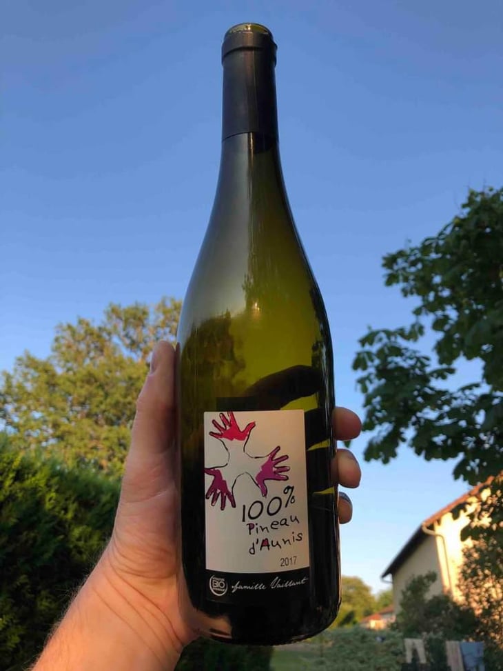 100% Pineau d'Aunis - Les Grandes Vignes - Laurence, Dominique & Jean-François Vaillant 