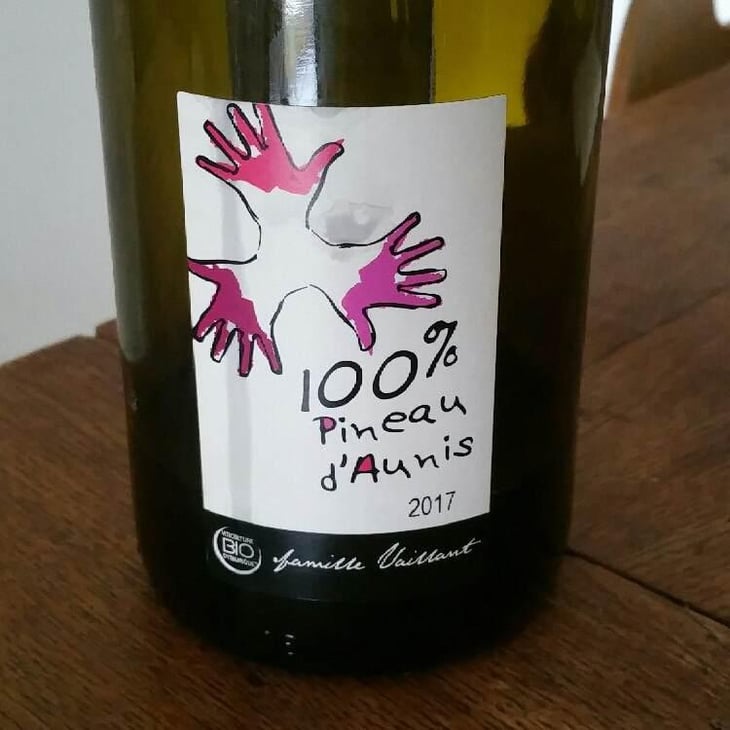100% Pineau d'Aunis - Les Grandes Vignes - Laurence, Dominique & Jean-François Vaillant 