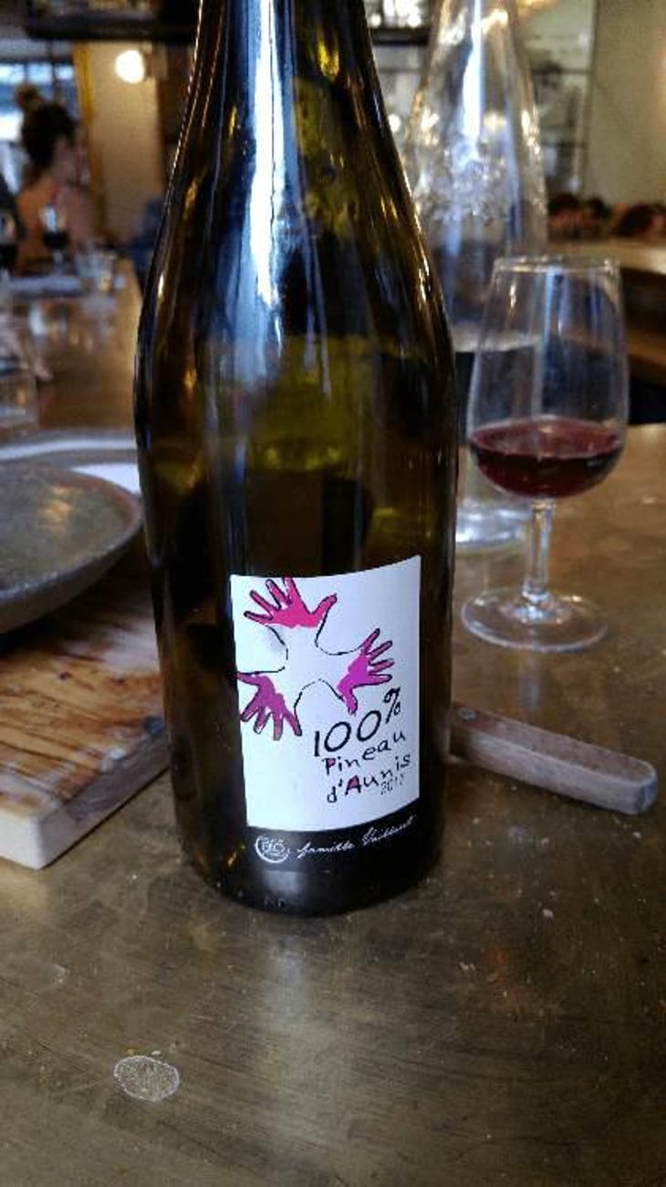 100% Pineau d'Aunis - Les Grandes Vignes - Laurence, Dominique & Jean-François Vaillant 