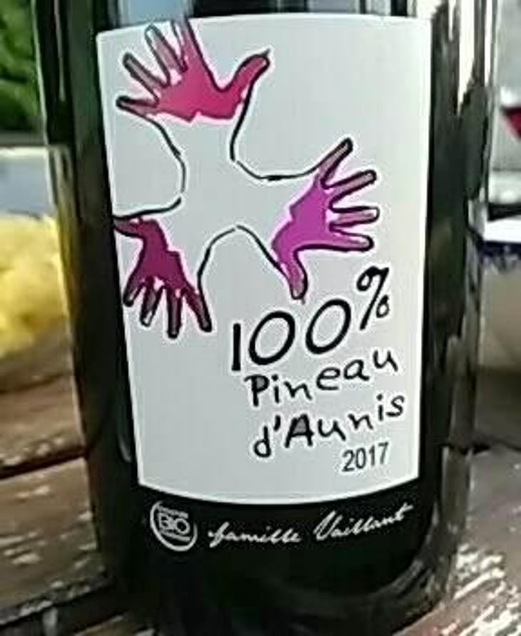100% Pineau d'Aunis - Les Grandes Vignes - Laurence, Dominique & Jean-François Vaillant 