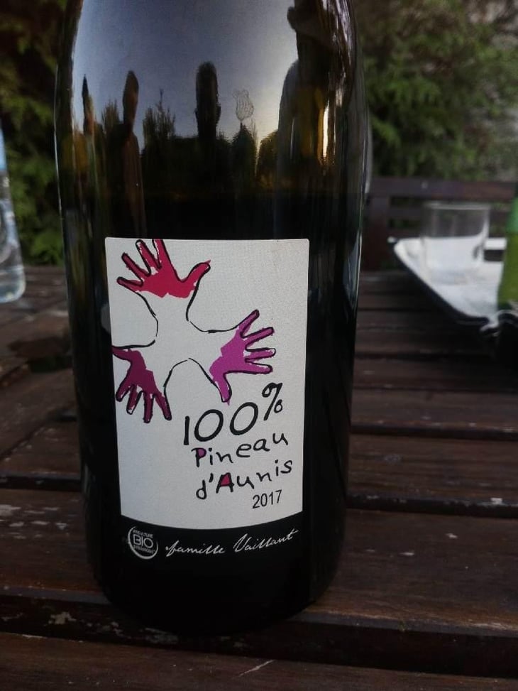 100% Pineau d'Aunis - Les Grandes Vignes - Laurence, Dominique & Jean-François Vaillant 