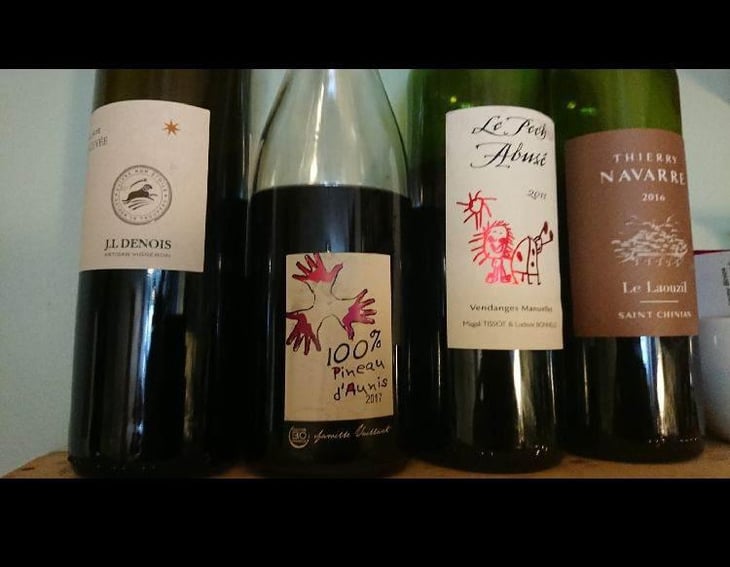 100% Pineau d'Aunis - Les Grandes Vignes - Laurence, Dominique & Jean-François Vaillant 