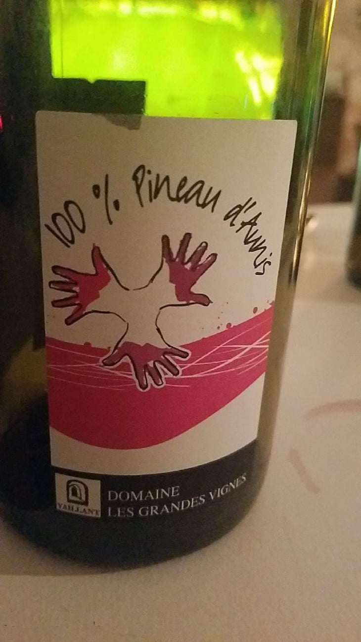 100% Pineau d'Aunis - Les Grandes Vignes - Laurence, Dominique & Jean-François Vaillant 