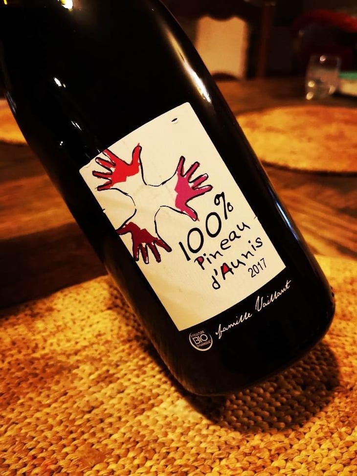 100% Pineau d'Aunis - Les Grandes Vignes - Laurence, Dominique & Jean-François Vaillant 