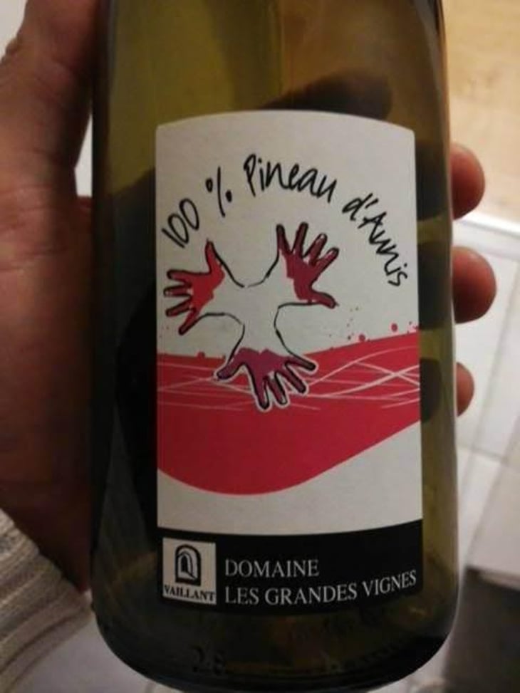 100% Pineau d'Aunis - Les Grandes Vignes - Laurence, Dominique & Jean-François Vaillant 