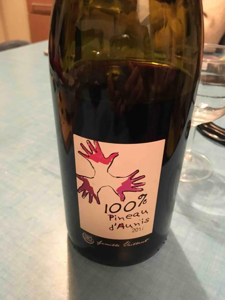 100% Pineau d'Aunis - Les Grandes Vignes - Laurence, Dominique & Jean-François Vaillant 