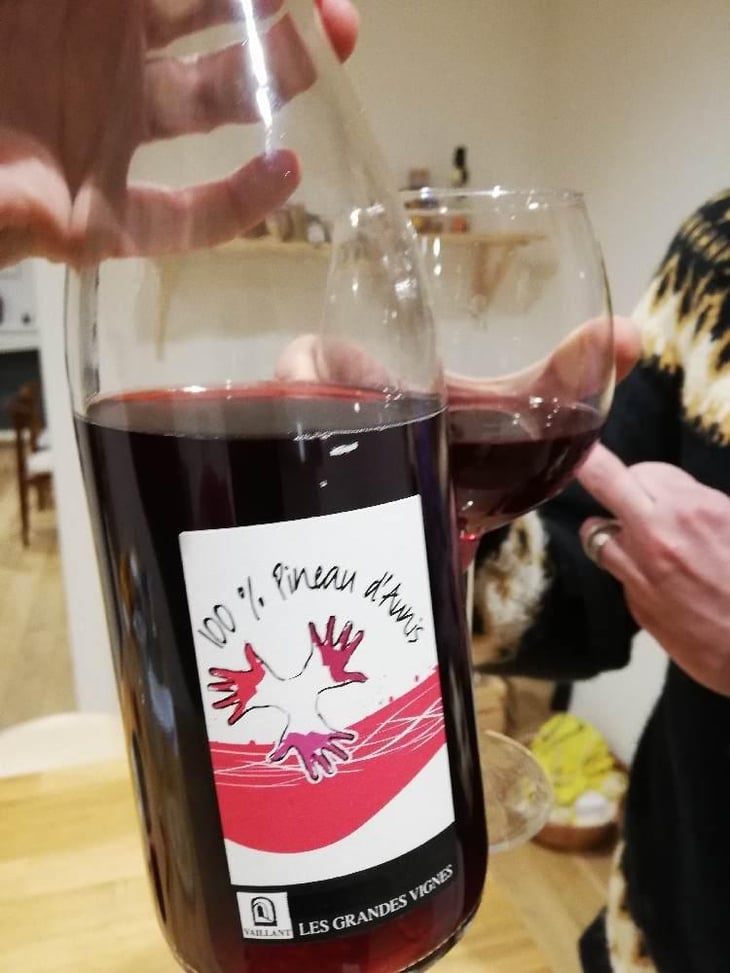 100% Pineau d'Aunis - Les Grandes Vignes - Laurence, Dominique & Jean-François Vaillant 