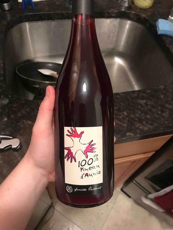 100% Pineau d'Aunis - Les Grandes Vignes - Laurence, Dominique & Jean-François Vaillant 
