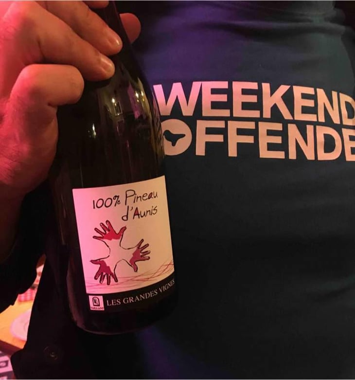 100% Pineau d'Aunis - Les Grandes Vignes - Laurence, Dominique & Jean-François Vaillant 