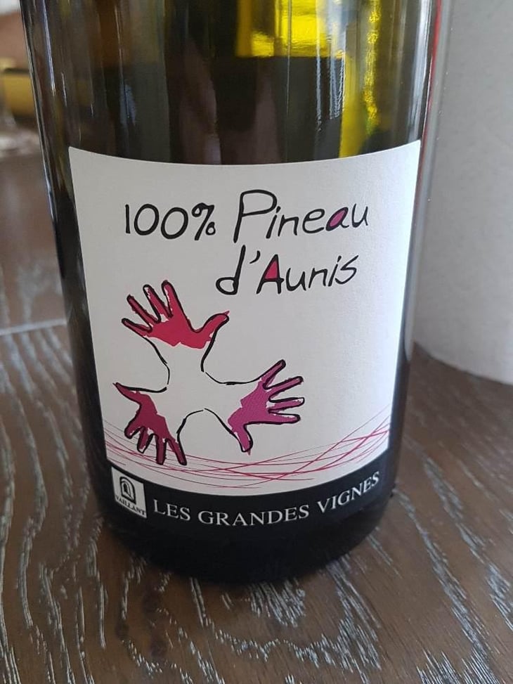 100% Pineau d'Aunis - Les Grandes Vignes - Laurence, Dominique & Jean-François Vaillant 