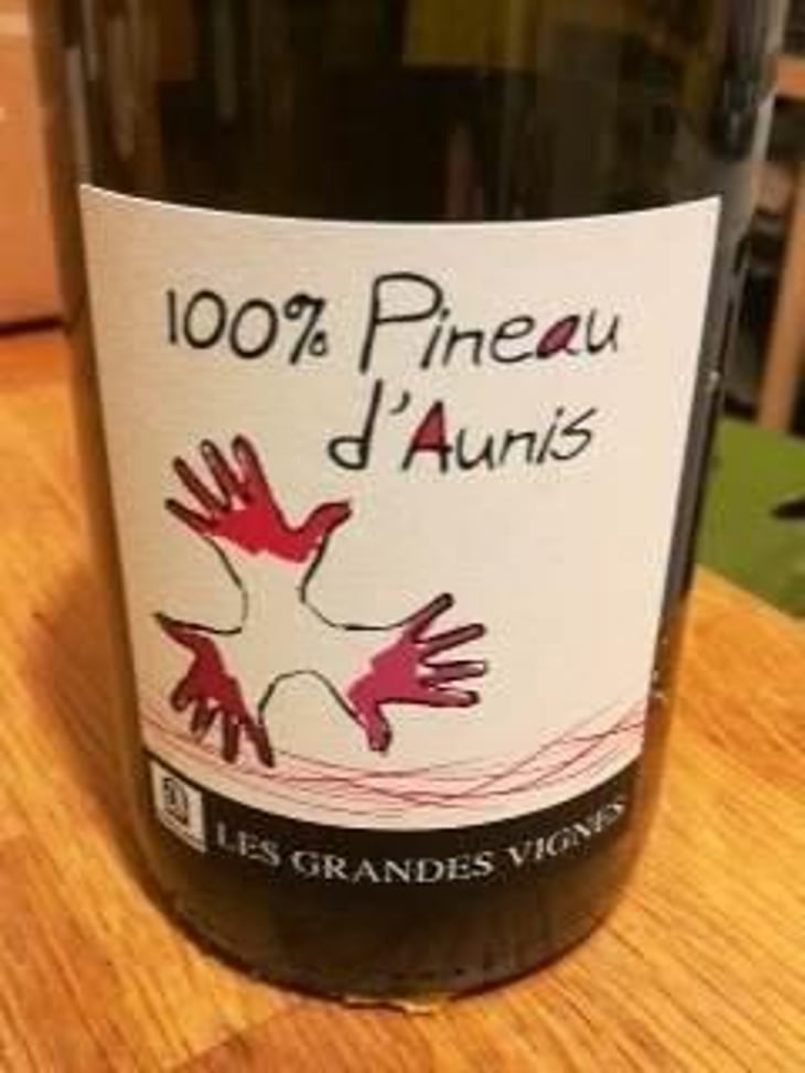 100% Pineau d'Aunis - Les Grandes Vignes - Laurence, Dominique & Jean-François Vaillant 