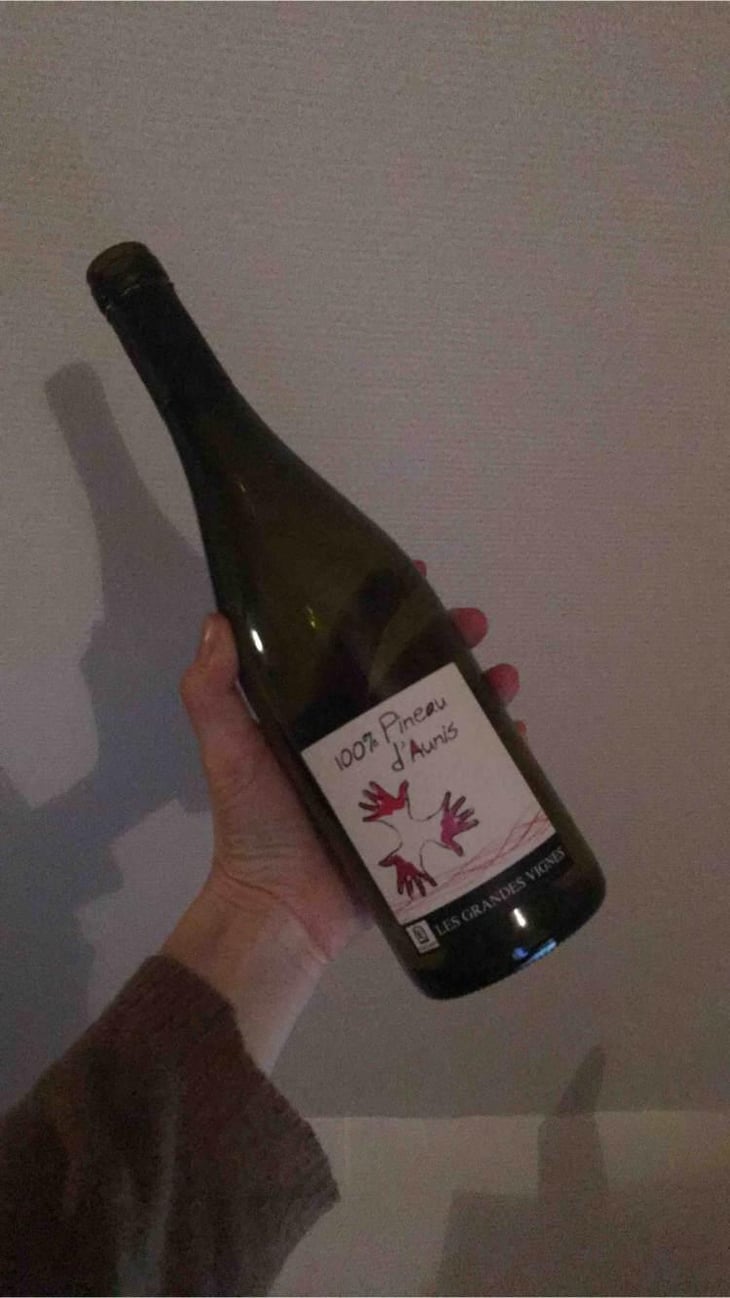100% Pineau d'Aunis - Les Grandes Vignes - Laurence, Dominique & Jean-François Vaillant 