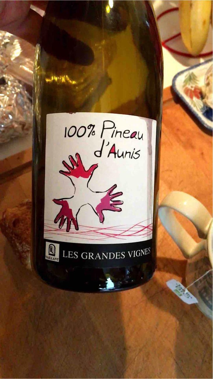 100% Pineau d'Aunis - Les Grandes Vignes - Laurence, Dominique & Jean-François Vaillant 