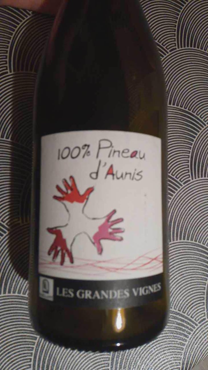 100% Pineau d'Aunis - Les Grandes Vignes - Laurence, Dominique & Jean-François Vaillant 