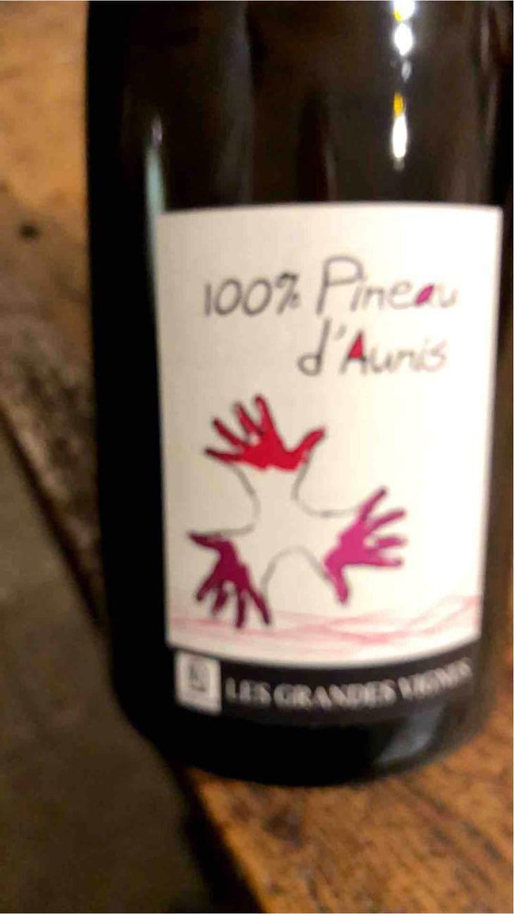100% Pineau d'Aunis - Les Grandes Vignes - Laurence, Dominique & Jean-François Vaillant 