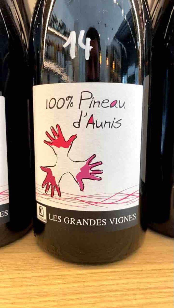 100% Pineau d'Aunis - Les Grandes Vignes - Laurence, Dominique & Jean-François Vaillant 