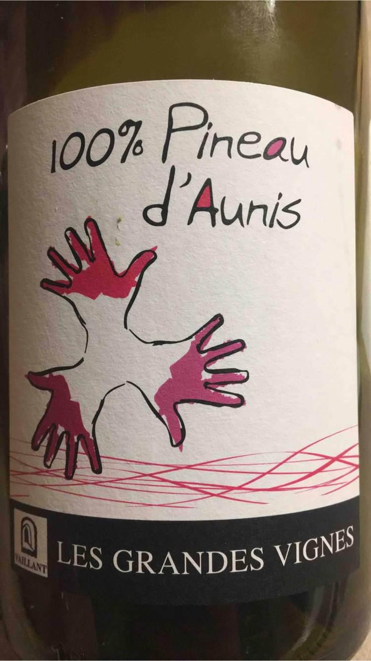 100% Pineau d'Aunis - Les Grandes Vignes - Laurence, Dominique & Jean-François Vaillant 