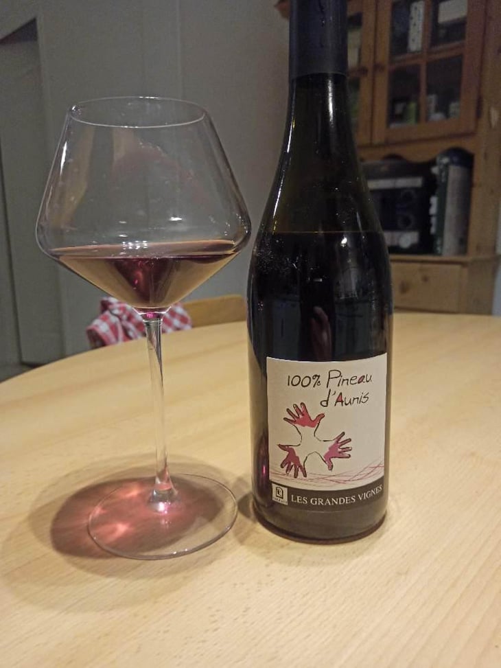 100% Pineau d'Aunis - Les Grandes Vignes - Laurence, Dominique & Jean-François Vaillant 