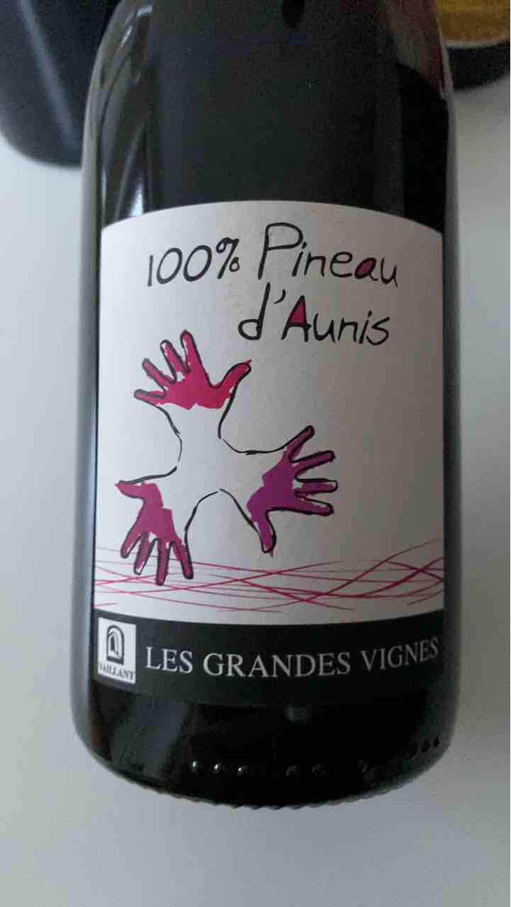 100% Pineau d'Aunis - Les Grandes Vignes - Laurence, Dominique & Jean-François Vaillant 