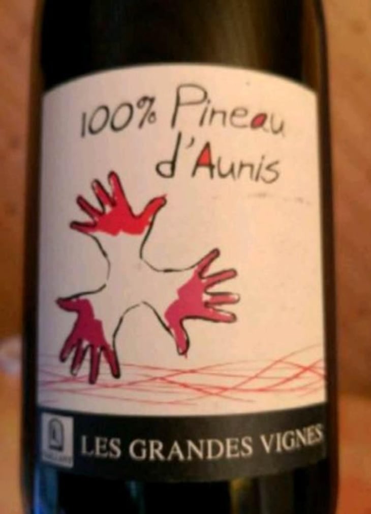 100% Pineau d'Aunis - Les Grandes Vignes - Laurence, Dominique & Jean-François Vaillant 