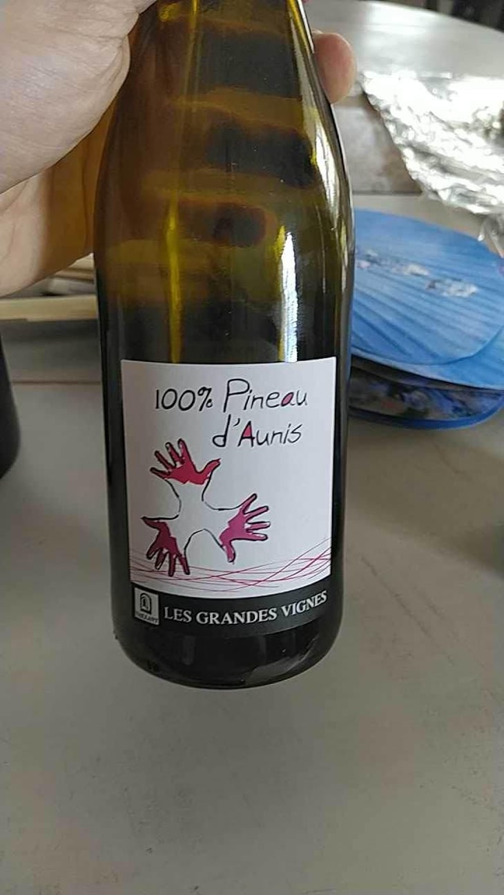 100% Pineau d'Aunis - Les Grandes Vignes - Laurence, Dominique & Jean-François Vaillant 