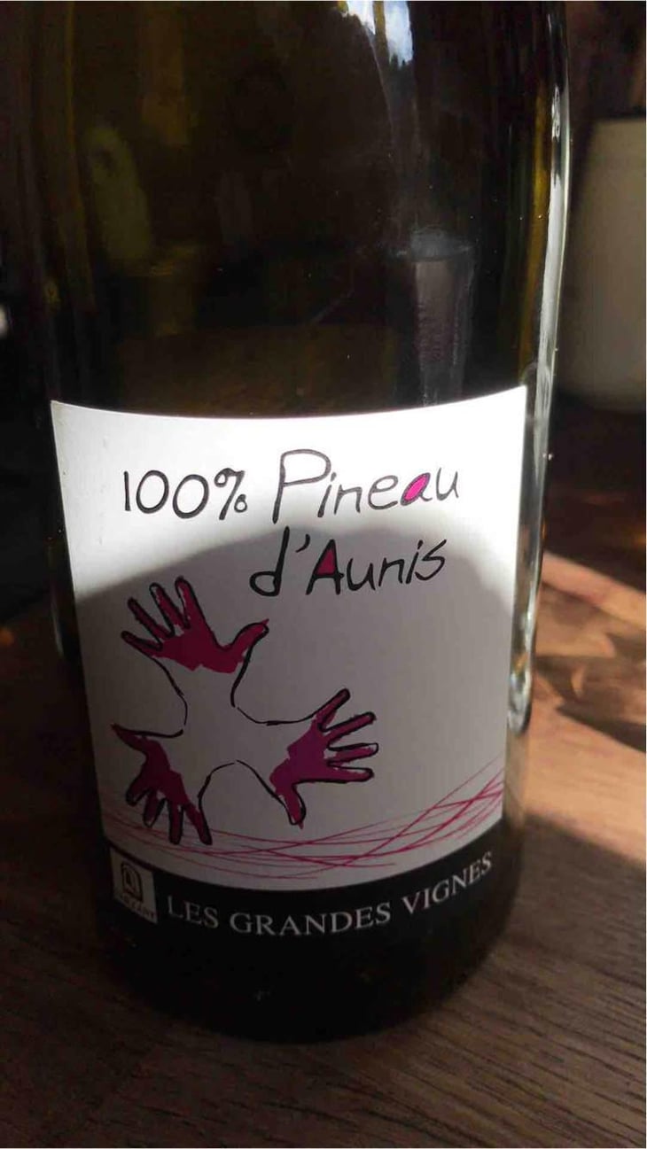 100% Pineau d'Aunis - Les Grandes Vignes - Laurence, Dominique & Jean-François Vaillant 