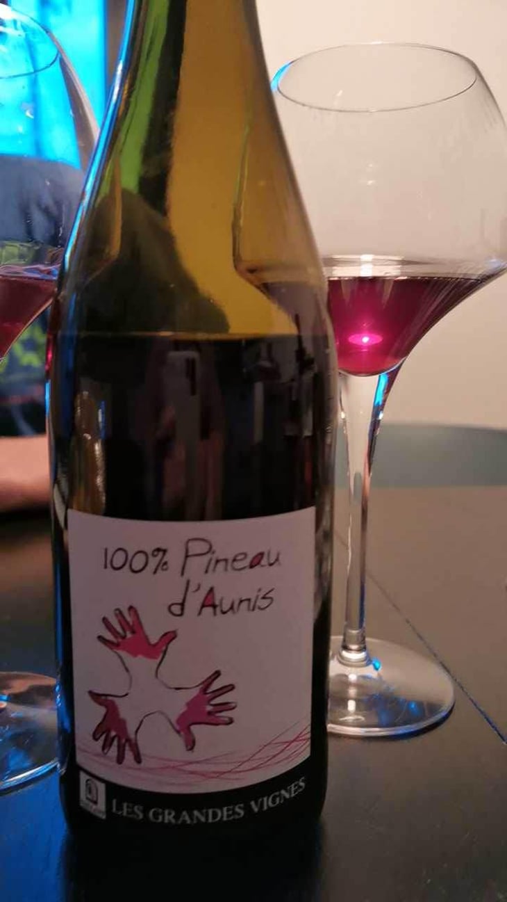 100% Pineau d'Aunis - Les Grandes Vignes - Laurence, Dominique & Jean-François Vaillant 