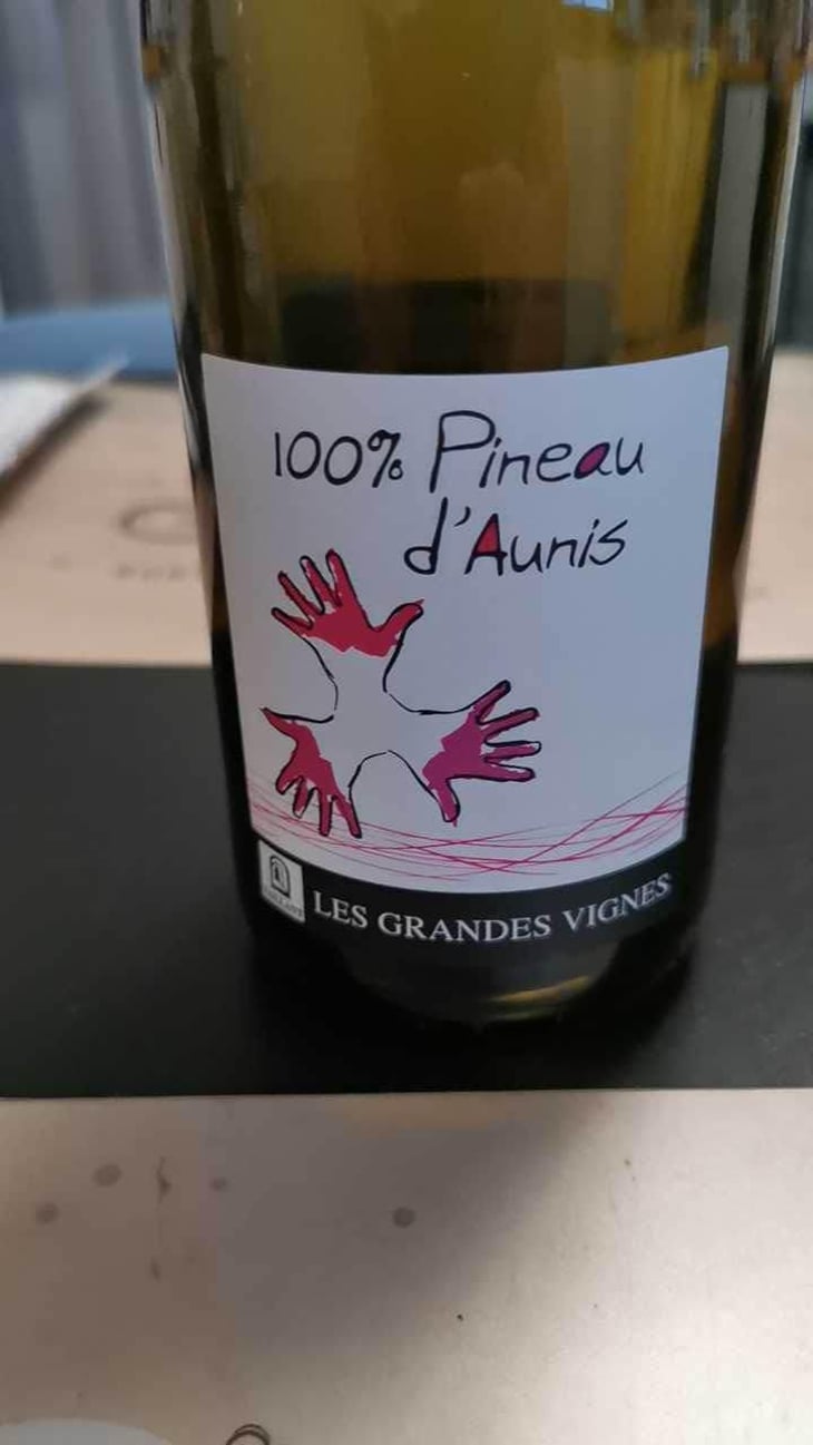 100% Pineau d'Aunis - Les Grandes Vignes - Laurence, Dominique & Jean-François Vaillant 