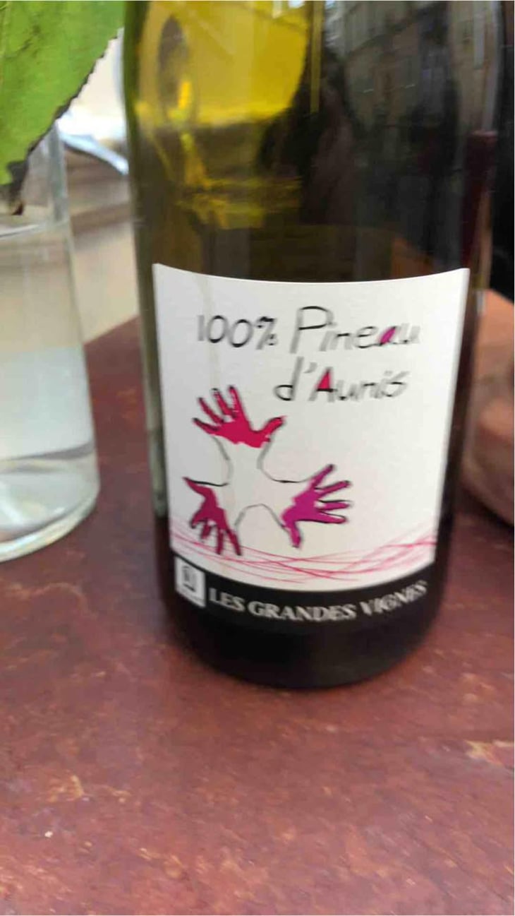 100% Pineau d'Aunis - Les Grandes Vignes - Laurence, Dominique & Jean-François Vaillant 