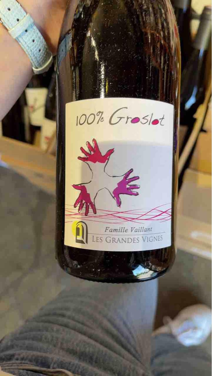 100% Pineau d'Aunis - Les Grandes Vignes - Laurence, Dominique & Jean-François Vaillant 