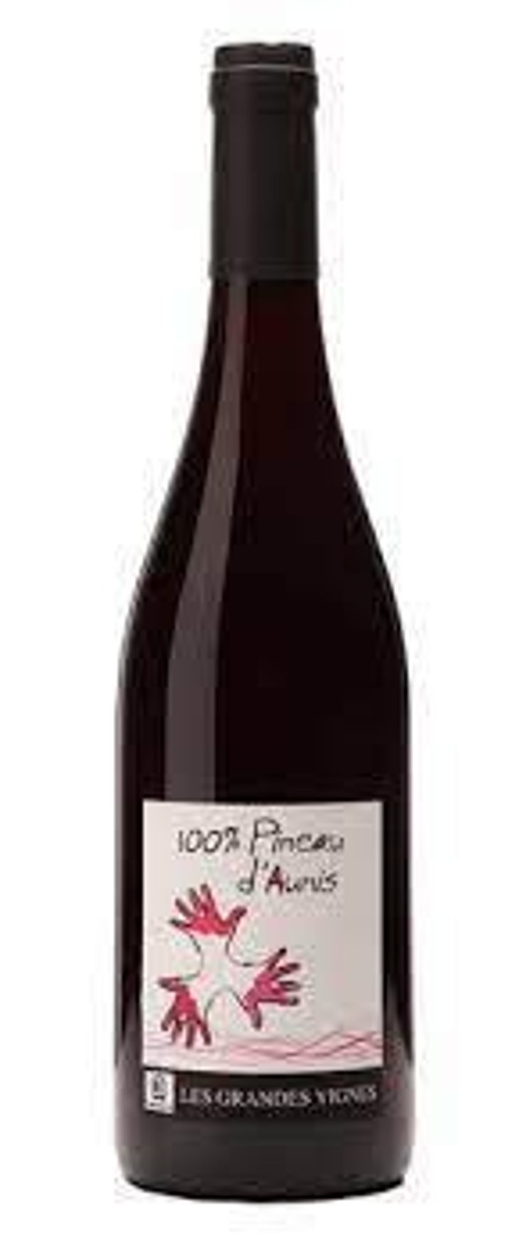 100% Pineau d'Aunis - Les Grandes Vignes - Laurence, Dominique & Jean-François Vaillant 
