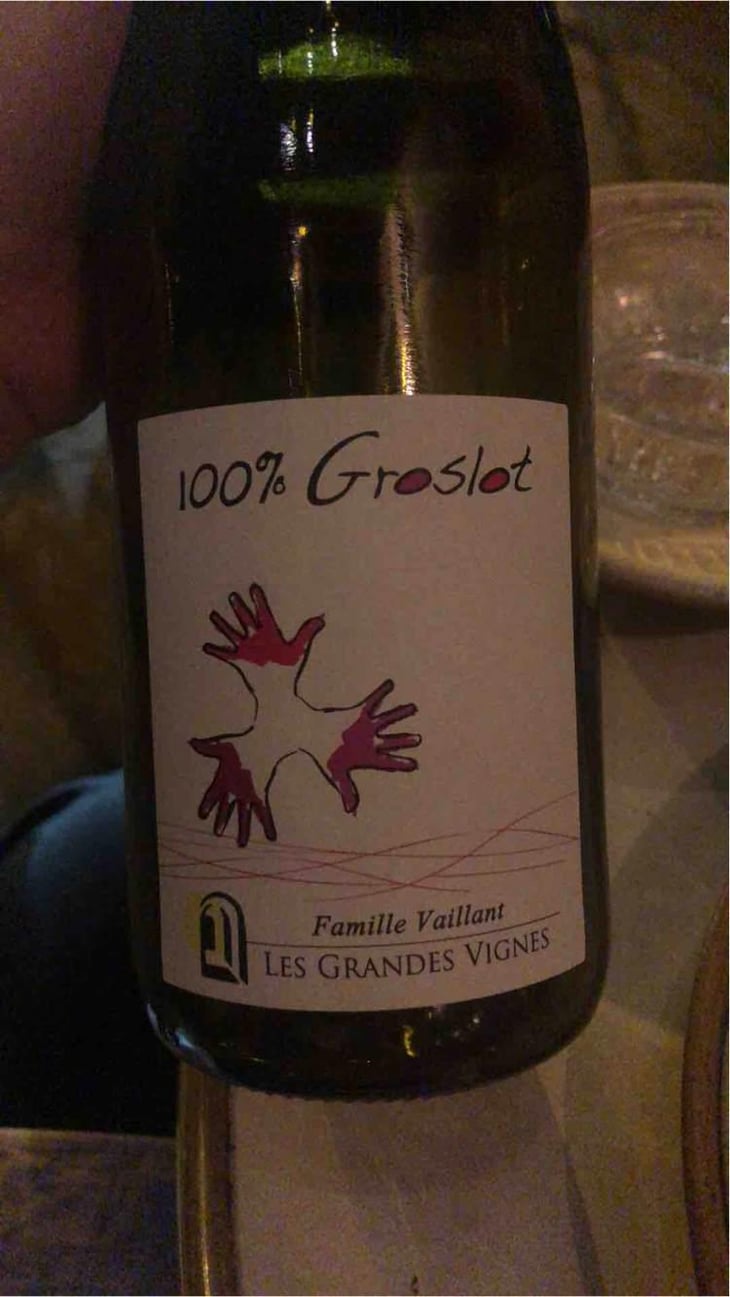 100% Pineau d'Aunis - Les Grandes Vignes - Laurence, Dominique & Jean-François Vaillant 